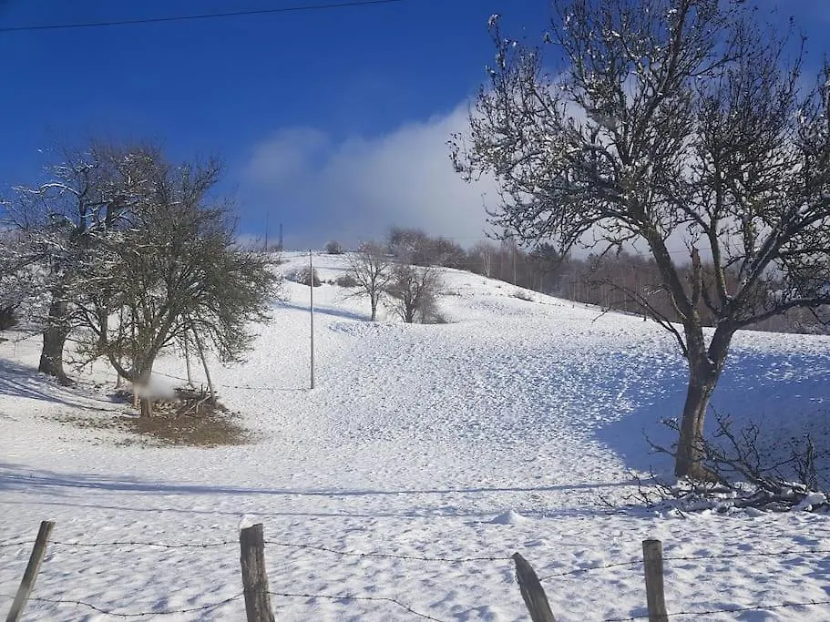 Villa Prada Beauty Through Pastures And Lake Garda Castelletto Di Brenzone